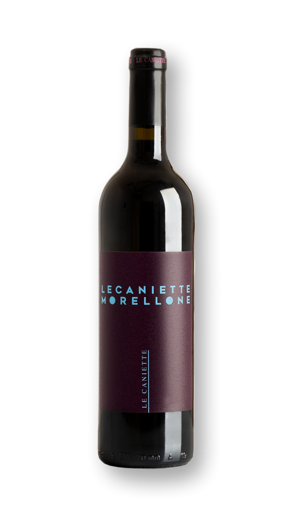 Le Caniette Morellone is one of the top wines of Ripatransone.